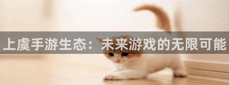恩佐娱乐：上虞手游生态：未来游戏的无限可能