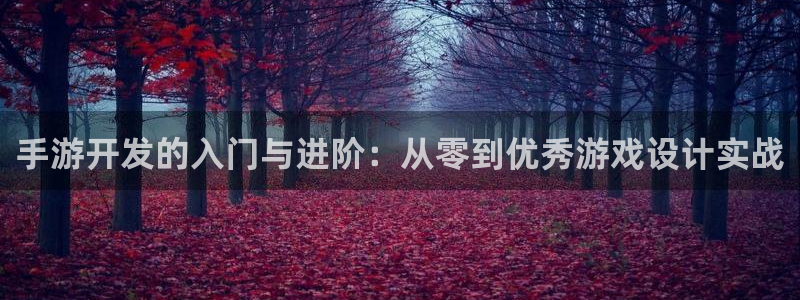 恩佐娱乐手机版最新功能介绍视频：手游开发的入门与进阶：从零到