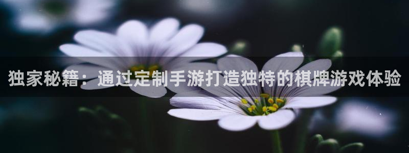 恩佐娱乐手机版最新功能介绍大全：独家秘籍：通过定制手游打造独