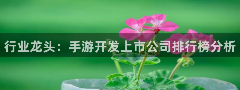 恩佐娱乐官方注册：行业龙头：手游开发上市公司排行榜分析