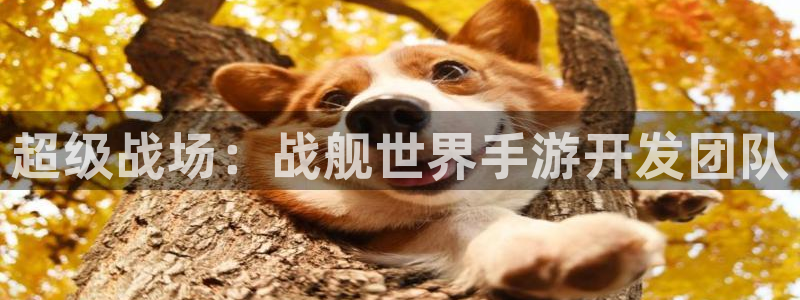 恩佐娱乐登陆：超级战场：战舰世界手游开发团队
