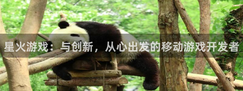 恩佐娱乐平台正规吗安全吗