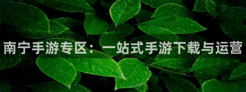 恩佐娱乐注册：南宁手游专区：一站式手游下载与运营