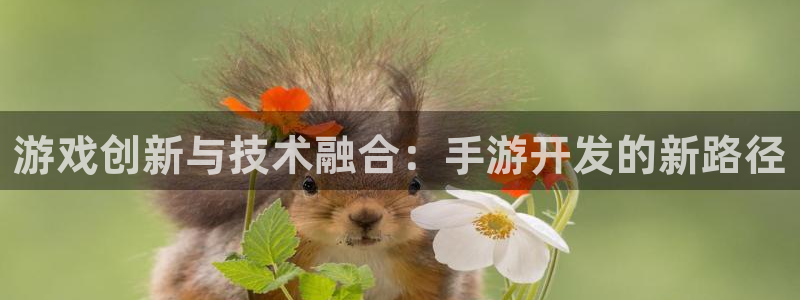 恩佐娱乐官方注册：游戏创新与技术融合：手游开发的新路径