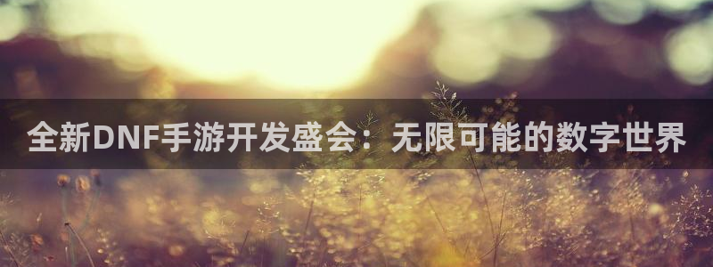 恩佐娱乐手机版最新功能介绍视频：全新DNF手游开发盛会：无限