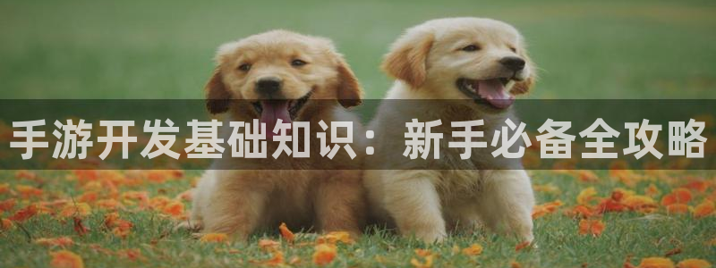 恩佐娱乐手机登录：手游开发基础知识：新手必备全攻略