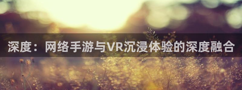 恩佐娱乐手机版最新功能介绍大全:深度:网络手游与VR沉浸体验