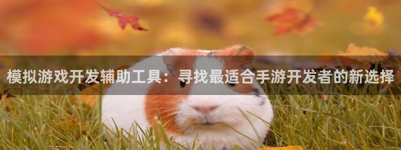 恩佐娱乐手机登录