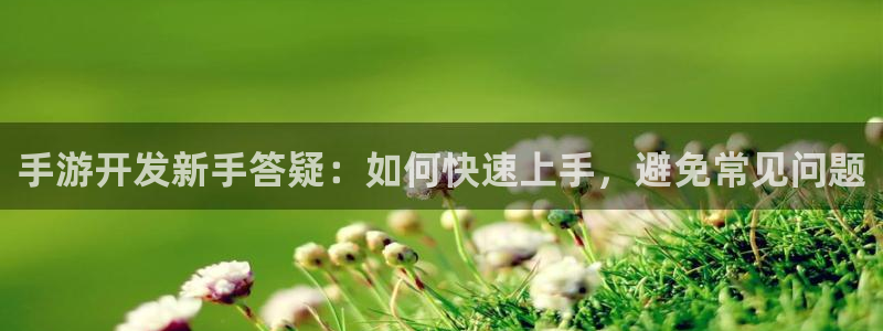 恩佐娱乐平台正规吗可靠吗：手游开发新手答疑：如何快速上手，避