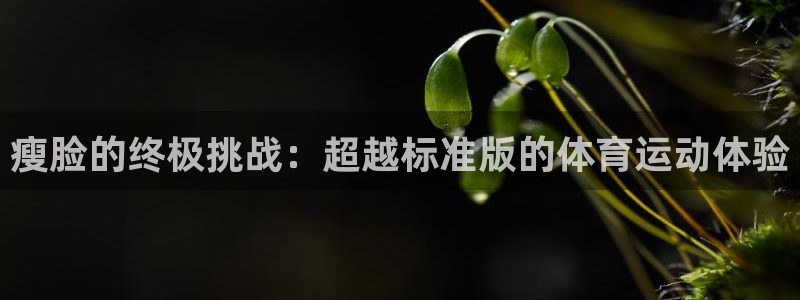 哈哈体育