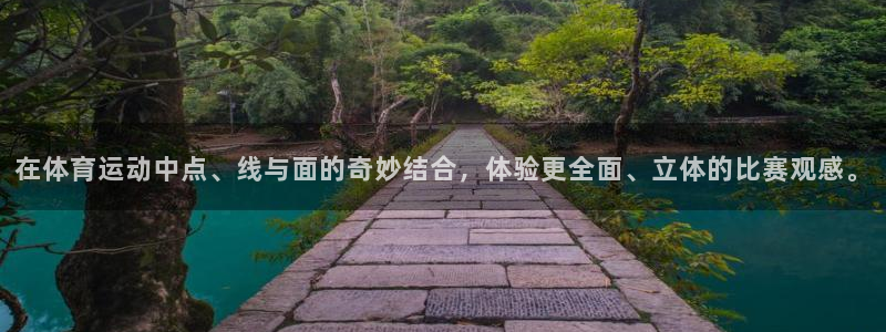 哈哈体育十年