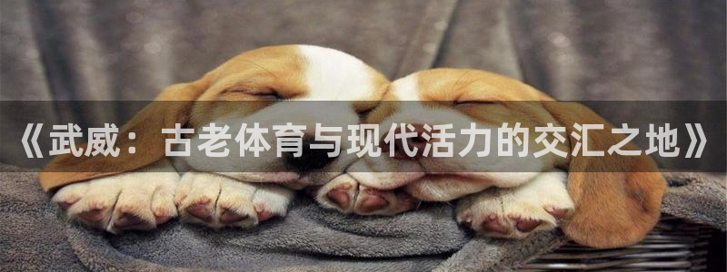 哈哈体育下载：《武威：古老体育与现代活力的交汇之地》