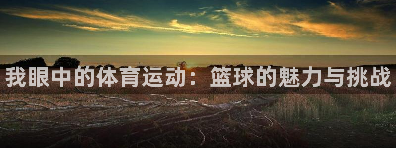 哈哈体育十年：我眼中的体育运动：篮球的魅力与挑战