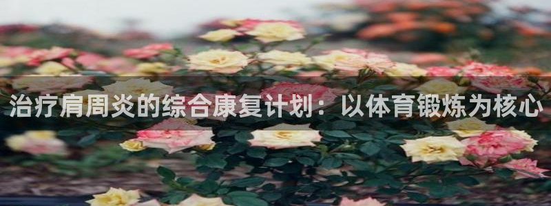 哈哈体育：治疗肩周炎的综合康复计划：以体育锻炼为核心
