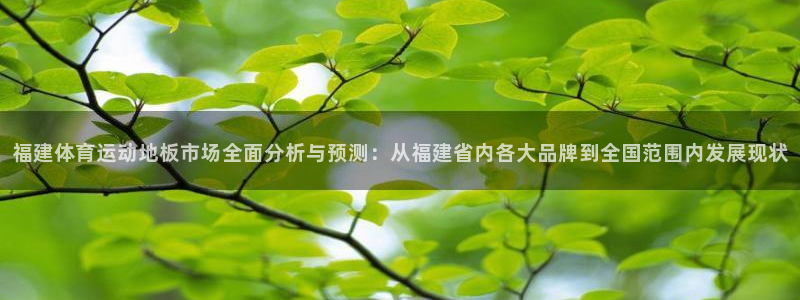 哈哈体育：福建体育运动地板市场全面分析与预测：从福建省内各大品牌到全国范围内发展现状