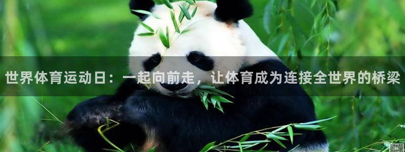 哈哈体育下载：世界体育运动日：一起向前走，让体育成为连接全世界的桥梁