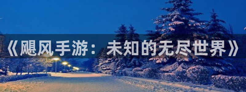 恩佐娱乐平台正规吗安全吗：《飓风手游：未知的无尽世界》